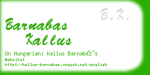 barnabas kallus business card